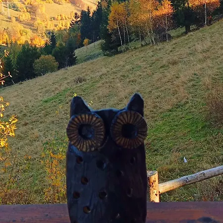 Sowi Stok Prázdninový dům Sokolec