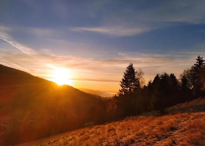 Tatil Evi Sowi Stok Sokolec