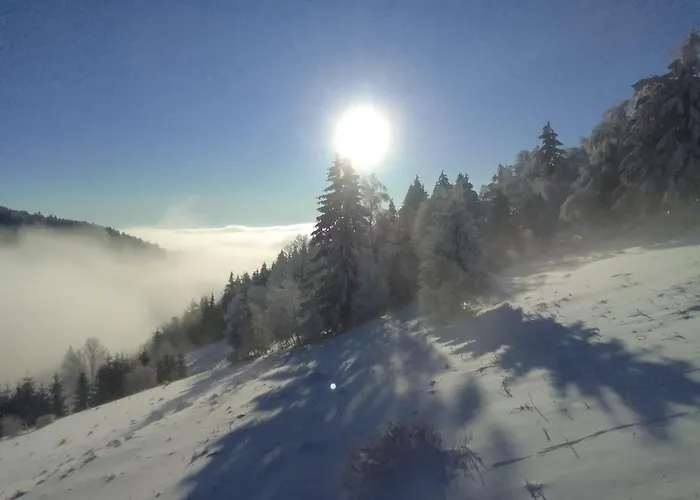 Sowi Stok Holiday home *