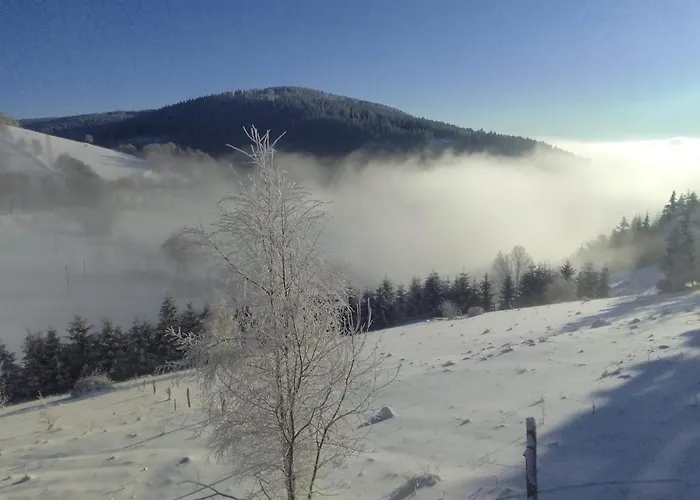 Sowi Stok Holiday home *