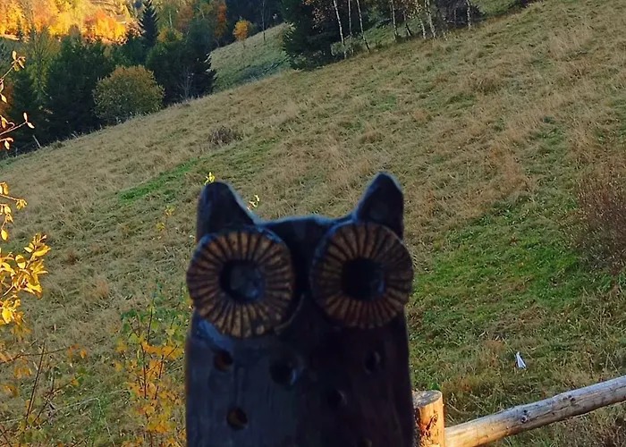 Sowi Stok Holiday home Sokolec