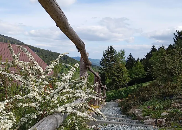 Holiday home Sowi Stok Sokolec